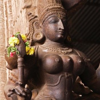 பாற்குடங்கள்