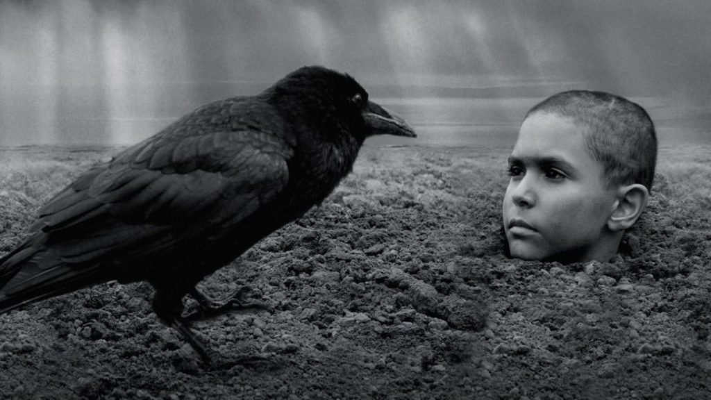 நெடுநீர், புனையின்றி நீந்துதல்: The Painted Bird (2019)