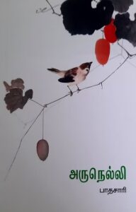 அருநெல்லி